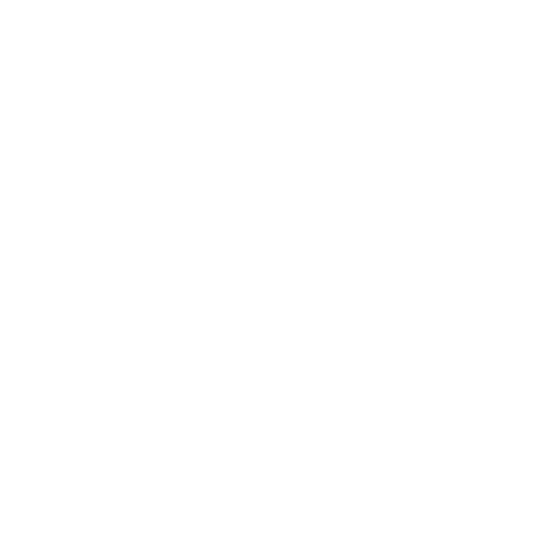 reparation-moteur-bubendorff