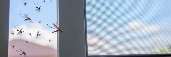 Moustiquaires porte-fenêtre : quelles sont les plus performantes ?